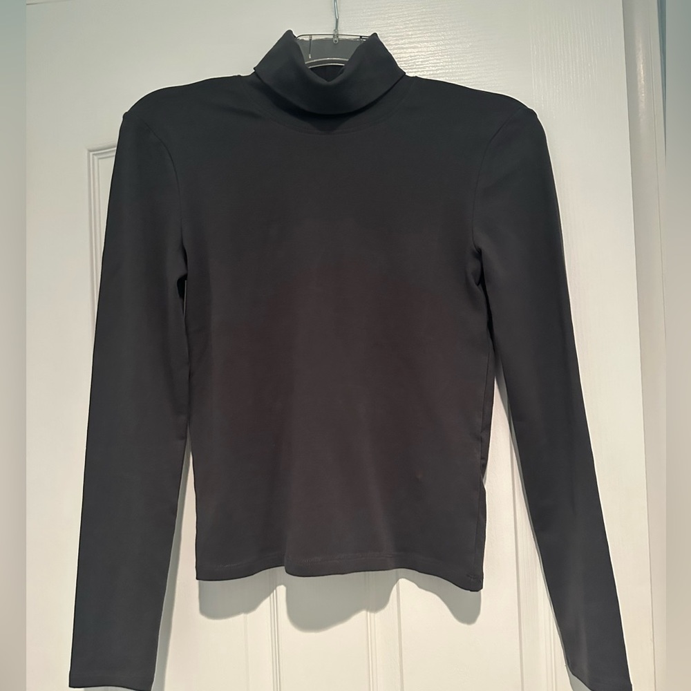 Zara Long Sleeve Turtleneck in Dark Gray